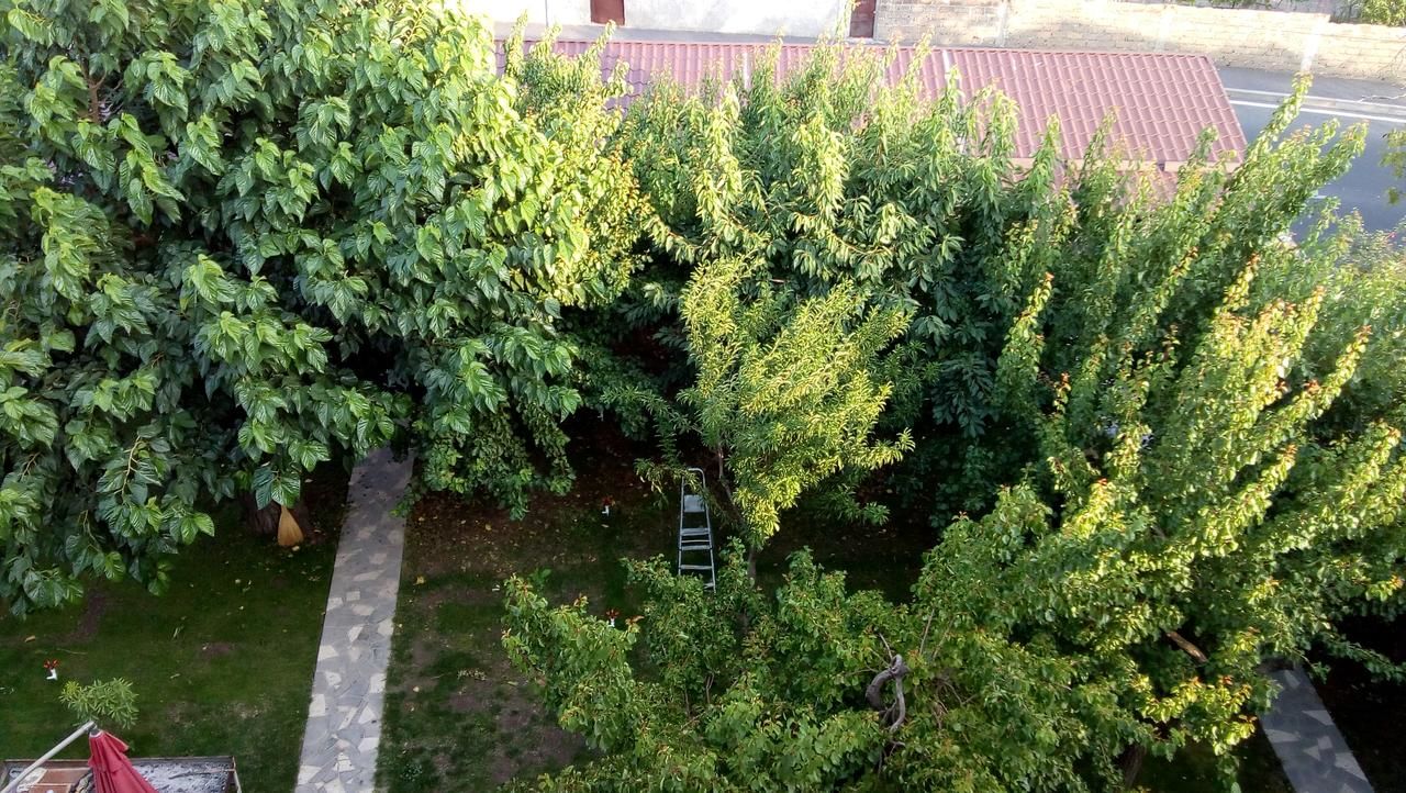 Отель Patriott Hotel Ереван-18